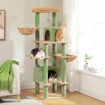 Carpet vs Sisal Cat Trees: What Cats Actually Prefer